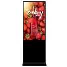 DSS DM-TDS-43HDW интерактивный ЖК-монитор киоск Full-HD, 43''